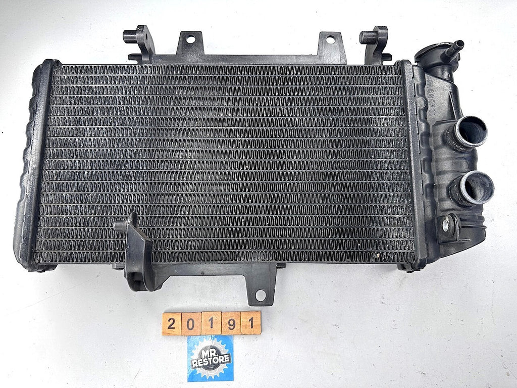 BMW F800S F800ST F800R F700GS F650GS Radiator 17117678284