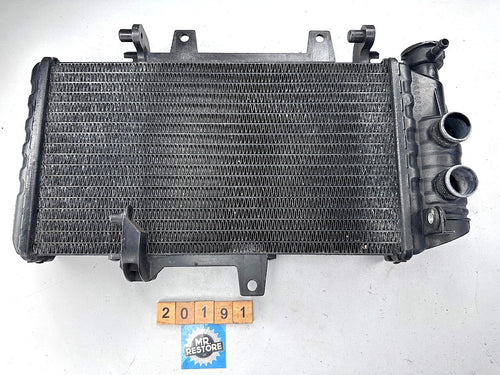 BMW F800S F800ST F800R F700GS F650GS Radiator 17117678284