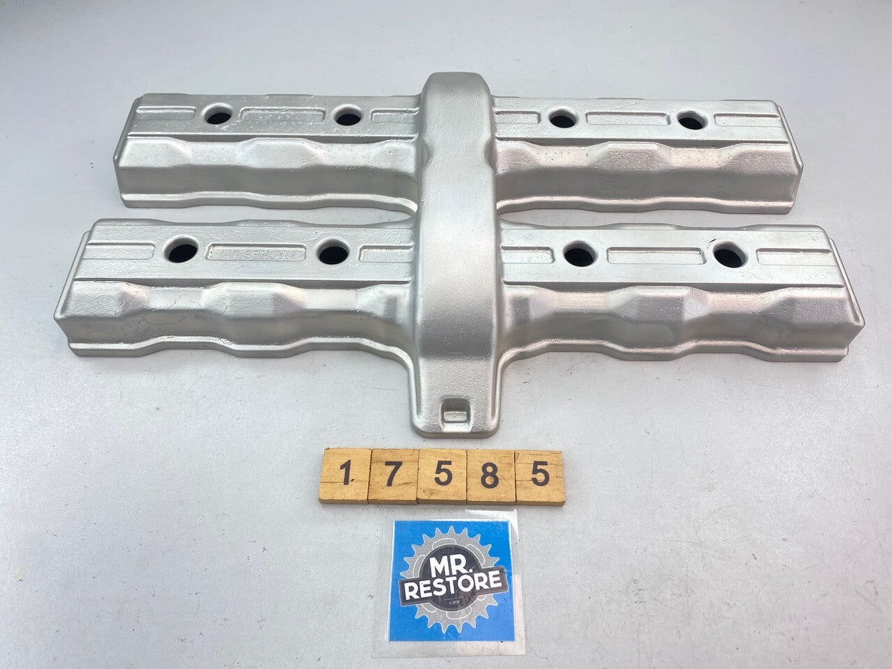 Yamaha FZR250 1987-1991 Magnesium Cylinder Head Rocker Cover - Vapour Blasted