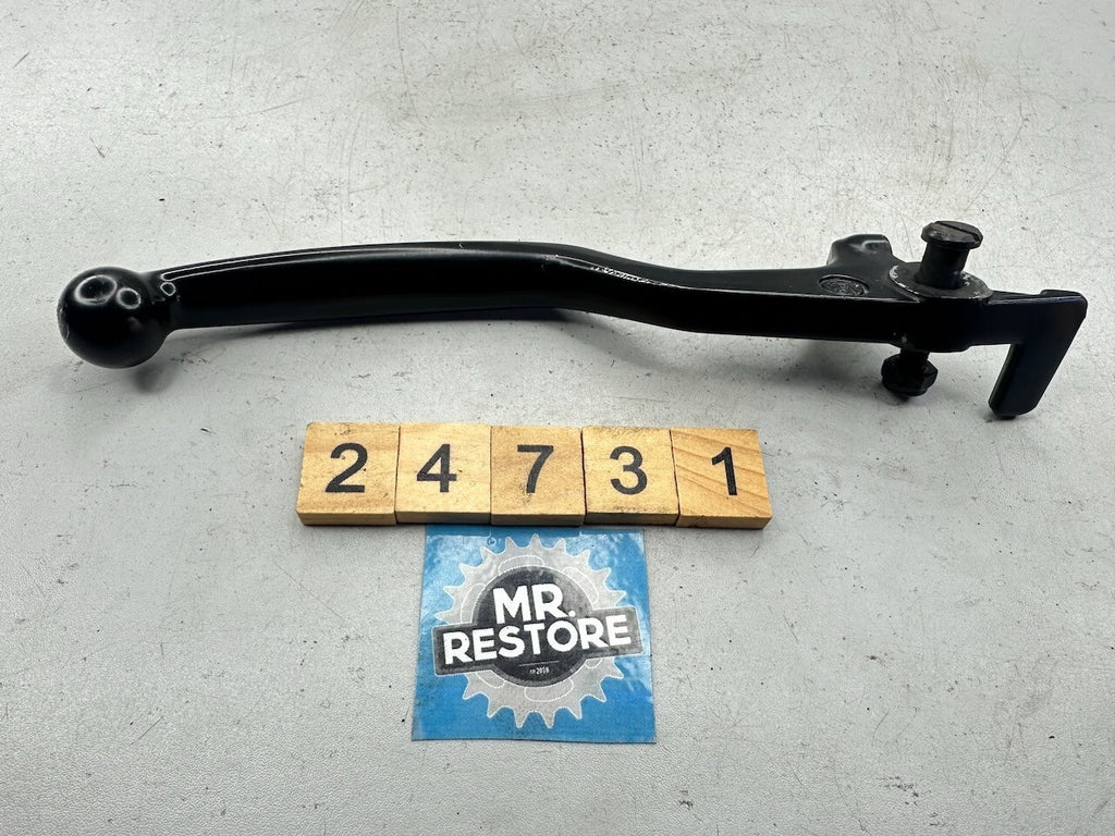BMW G650GS 2010-16  Genuine Brembo Front Brake Lever & Bolt