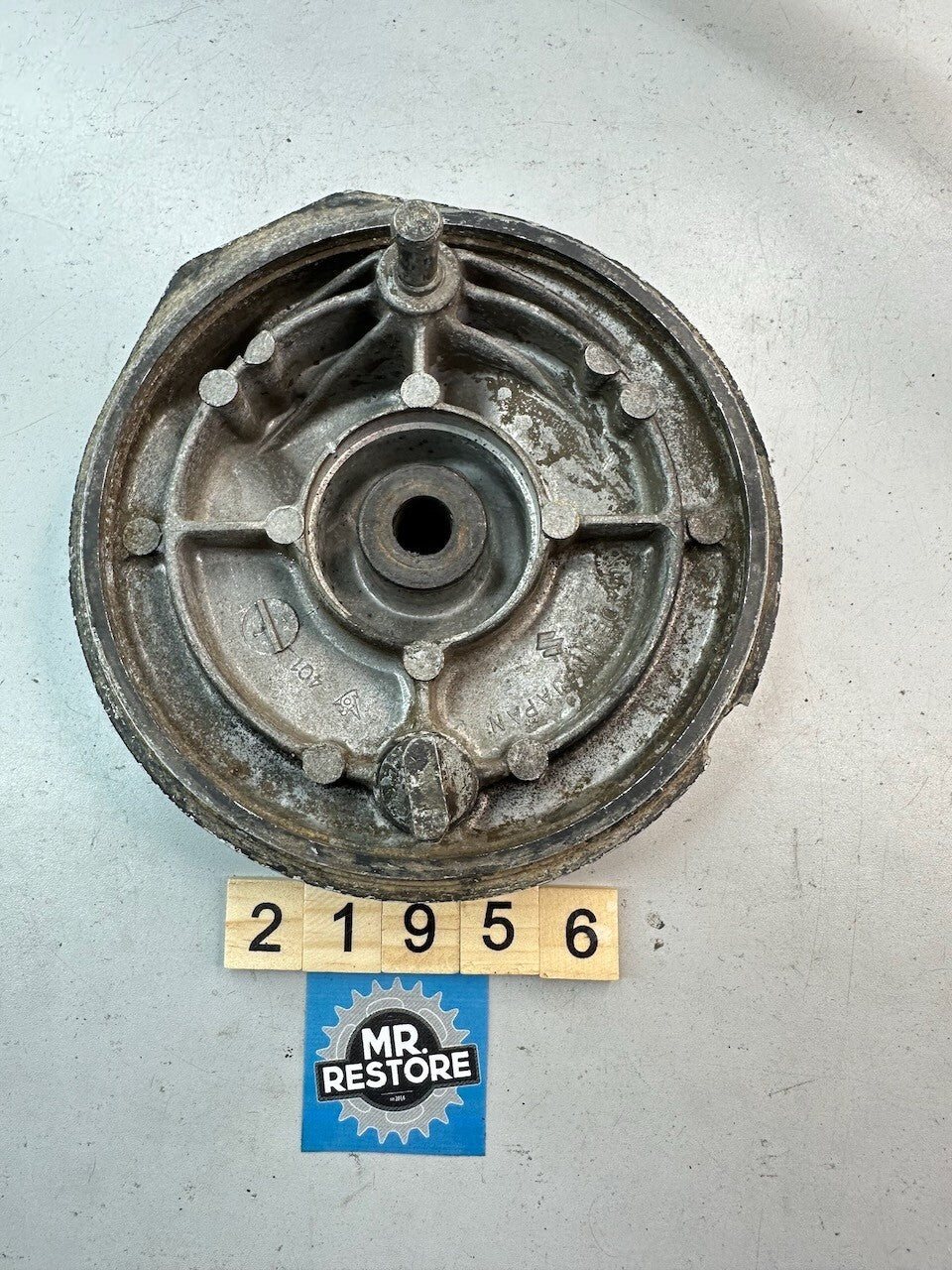 Suzuki TS250 Brake Shoe Panel