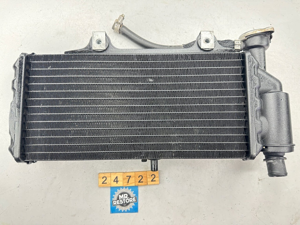 BMW G650GS 2008-16  F650GS 1999-07 Radiator 17117652234 7661912-10