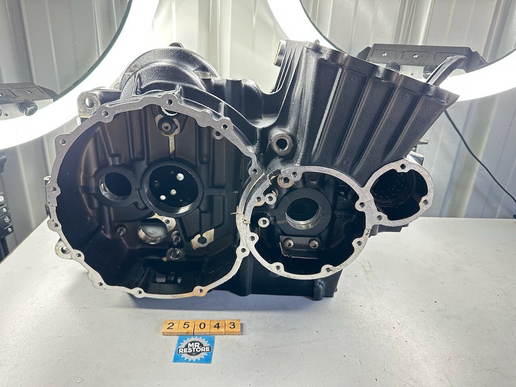 Triumph Speed Triple Tiger Sprint T300 1995 Crank Cases